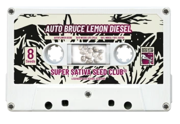 SSSC201002 - SUPER SATIVA SEED CLUB - AUTO BRUCE LEMON DIESEL FEM | 8 SEEDS Available while stocks last
