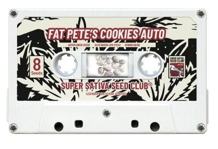 SUPER SATIVA SEED CLUB - FAT PETE'S COOKIES AUTO FEM | 8 SEEDS