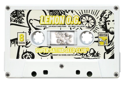 SUPER SATIVA SEED CLUB - LEMON OG FEM | 8 SEEDS
