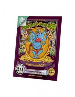 SWEET SEEDS - CREAM CARAMEL CBD® FEM (SWS67) | 5+2 SEEDS