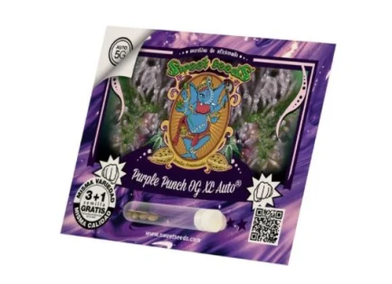SWEET SEEDS - PURPLE PUNCH OG XL AUTO® FEM (SWS96) | 100 SEEDS