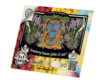 SWEET SEEDS - STRAWBERRY BANANA GELATO XL AUTO® FEM (SWS99) | 5+2 SEEDS