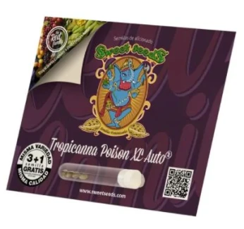 SWEET SEEDS - TROPICANNA POISON XL AUTO® FEM (SWS95) | 5+2 SEEDS