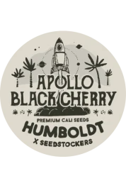 SSTKHF0025063 - SEEDSTOCKERS - APOLLO BLACK CHERRY FEM (SUPERIOR) | 25 SEEDS