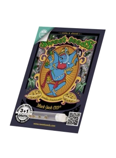 SWEET SEEDS - BLACK JACK CBD® FEM (SWS68) | 5+2 SEEDS