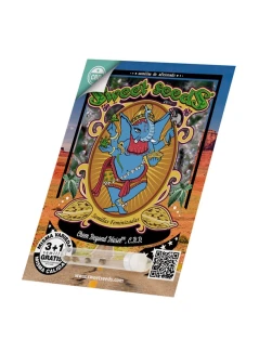 SWEET SEEDS - CHEM BEYOND DIESEL® CBD FEM | 3+1 SEEDS