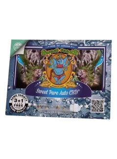 SWEET SEEDS - SWEET PURE AUTO CBD® FEM (SWS65) | 25 SEEDS