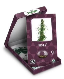 SENSI SEEDS BANK - MICHKA FEM | 3 SEEDS