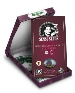 SENSI SEEDS BANK - NORTHERN LIGHTS #5 X HAZE FEM | 1 SEED