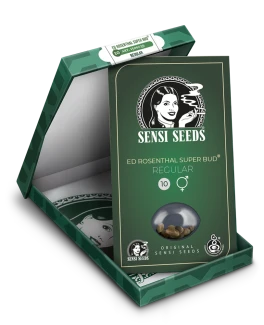 SENSI SEEDS BANK - ED ROSENTHAL SUPER BUD REG | 10 SEEDS