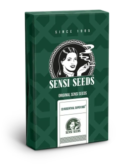 SENSI SEEDS BANK - ED ROSENTHAL SUPER BUD REG | 10 SEEDS