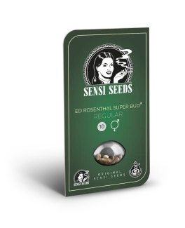 SENSI SEEDS BANK - ED ROSENTHAL SUPER BUD REG | 10 SEEDS