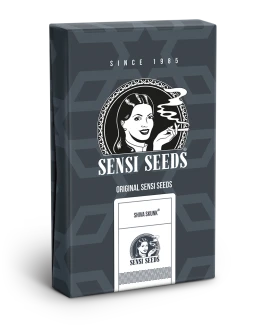 SENSI SEEDS BANK - SHIVA SKUNK AUTOMATIC FEM | 10 SEEDS