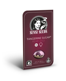 SENSI SEEDS BANK - TANGERINE SUGAR FEM | 1 SEED