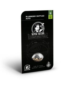 SENSI SEEDS RESEARCH - BLUE BERRY SKITTLEZ AUTO FEM | 3 SEEDS