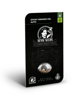SENSI SEEDS RESEARCH - STICKY ORANGE XXL AUTO FEM | 10 SEEDS