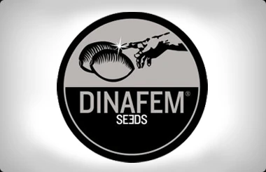 DF3111 - MOBY DICK CBD 5 SEEDS FEMM DINAFEM