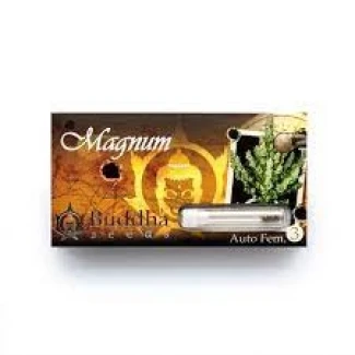 BUDDHA SEEDS - MAGNUM AUTO FEM | 3 SEEDS