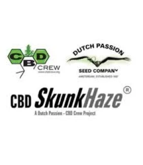 DUTCH PASSION - CBD SKUN KHAZE FEM | 10 SEEDS