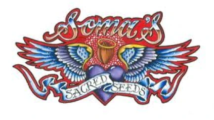 SOMA SEEDS - SOMANGO FEM | 5 SEEDS