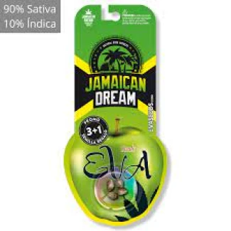 EVA SEEDS - JAMAICAN DREAM FEM | 3+1 Free SEEDS