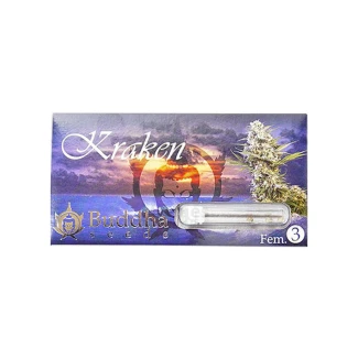 BUDDHA SEEDS - KRAKEN FEM | 3 SEEDS