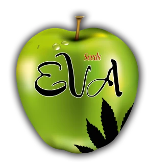 EVA SEEDS - FURIOUS CANDY FEM | 6+2 Free SEEDS