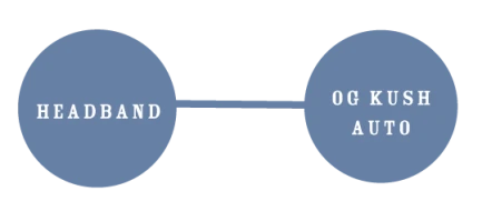 HUMBOLDT SEEDS COMPANY - HUMBOLDT HEADBAND AUTO | 3 SEEDS
