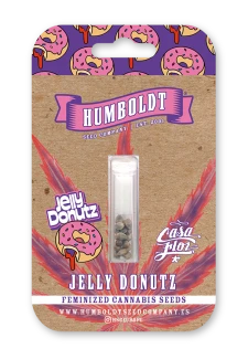HUMBOLDT SEEDS COMPANY - JELLY DONUTZ FEM | 5 SEEDS
