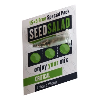 SEEDSALAD - CRITICAL FEM | 15+5 FREE SEEDS