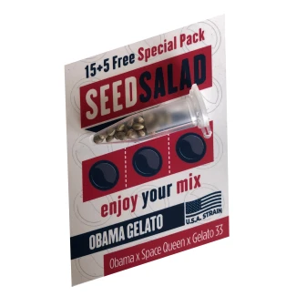 SEEDSALAD - OBAMA GELATO FEM (USA STRAIN) | 15+5 FREE SEEDS