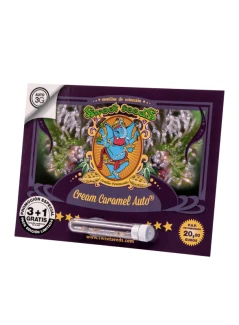 SWEET SEEDS - CREAM CARAMEL AUTO® (SWS22) | 100 SEEDS
