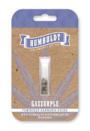 HSCGAZ-5-F - HUMBOLDT SEEDS COMPANY - GAZZURPLE FEM | 5 SEMILLAS