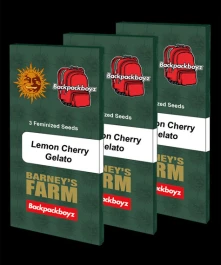 BF2007410 - BARNEY'S FARM - LEMON CHERRY ICE CREAM FEM | 10 SEMILLAS