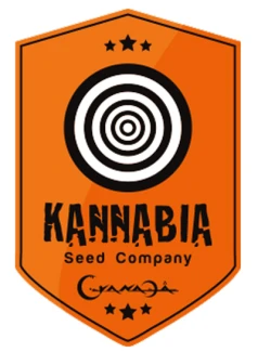 SKFF050016 - B.LEE AUTO 5 SEMILLAS FEMM KANNABIA SEED COMPANY