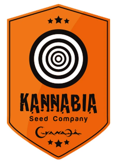 SKFF050016 - B.LEE AUTO 5 SEMILLAS FEMM KANNABIA SEED COMPANY