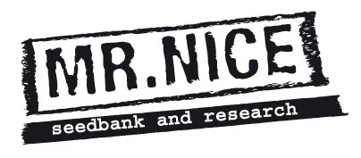 SMNN0025 - DEVIL 15 SEMILLAS REGULARES MR NICE