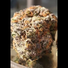 HS036R010 - HUMBOLDT SEED ORGANIZATION - GHOSTSCOTTI REG | 10 SEMILLAS