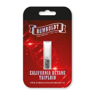 HSCCOTRP-3-F - HUMBOLDT SEEDS COMPANY - CALIFORNIA OCTANE TRIPLOID FEM | 3 SEMILLAS