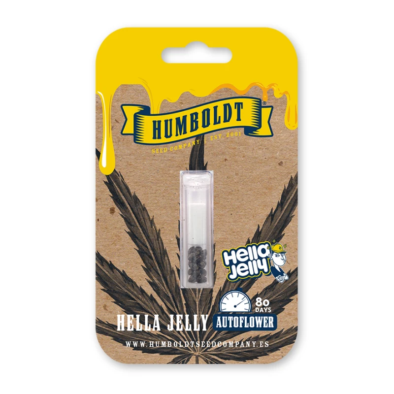 HSCHJA-3-F - HUMBOLDT SEEDS COMPANY - HELLA JELLY AUTO | 3 SEMILLAS