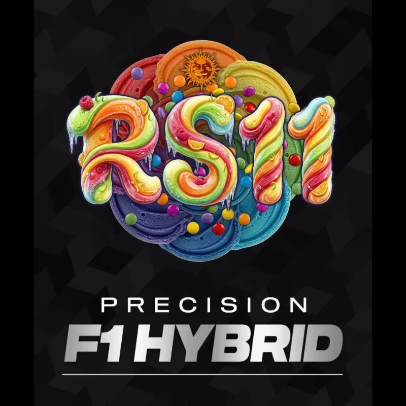 BF2011303 - BARNEY'S FARM - RS11 FEM (PRECISION F1 HYBRID) | 3 SEMILLAS