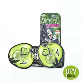 SEVF060006 - SEMILLAS DE EVA - GORILLA CANDY FEM | 6+2 SEMILLAS GRATIS