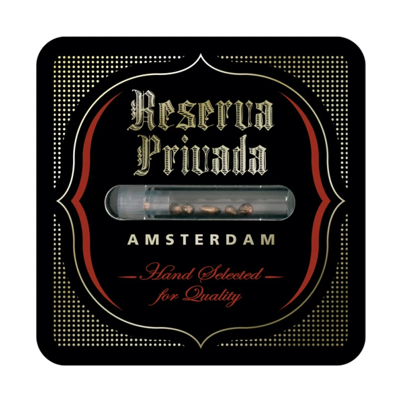 RPFEM3002 - RESERVA PRIVADA - CONFIDENTIAL CHEESE FEM | 3 SEMILLAS
