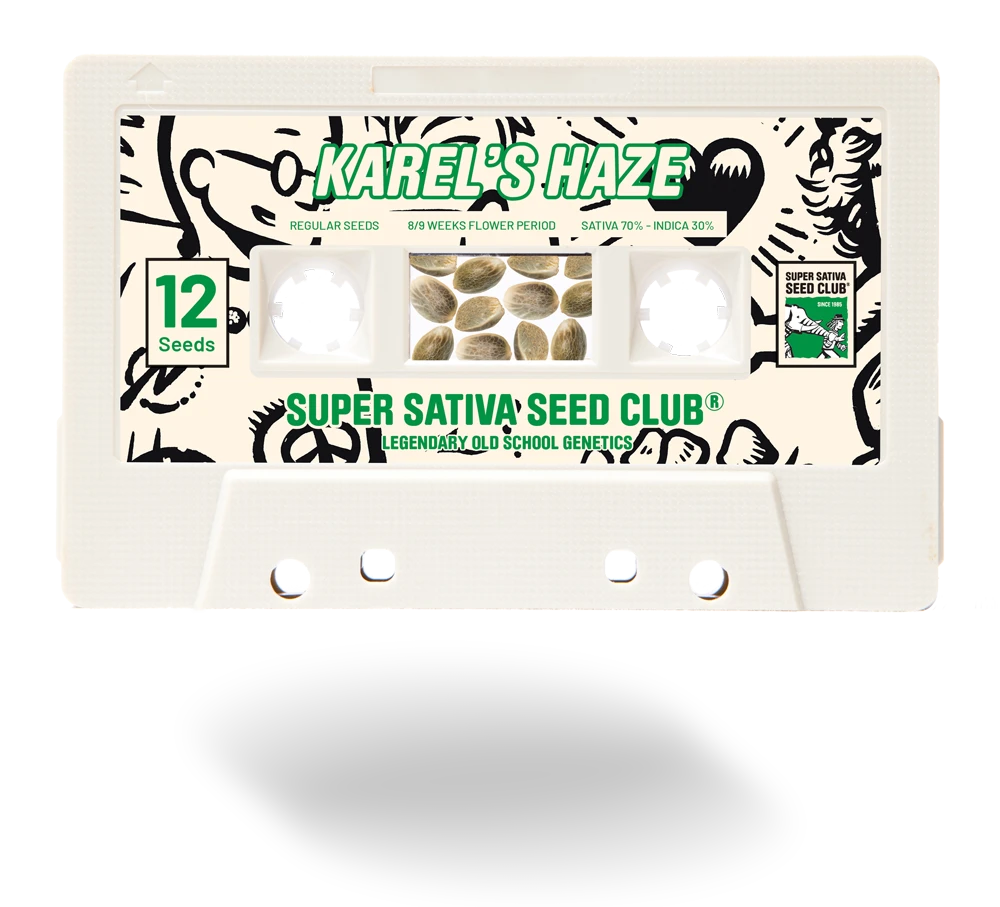 SSSC021201 - SUPER SATIVA SEED CLUB - KAREL'S HAZE REG | 12 SEMILLAS