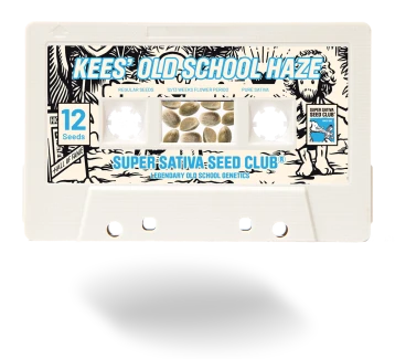 SSSC011201 - SUPER SATIVA SEED CLUB - KEES' OLD SCHOOL HAZE REG | 12 SEMILLAS