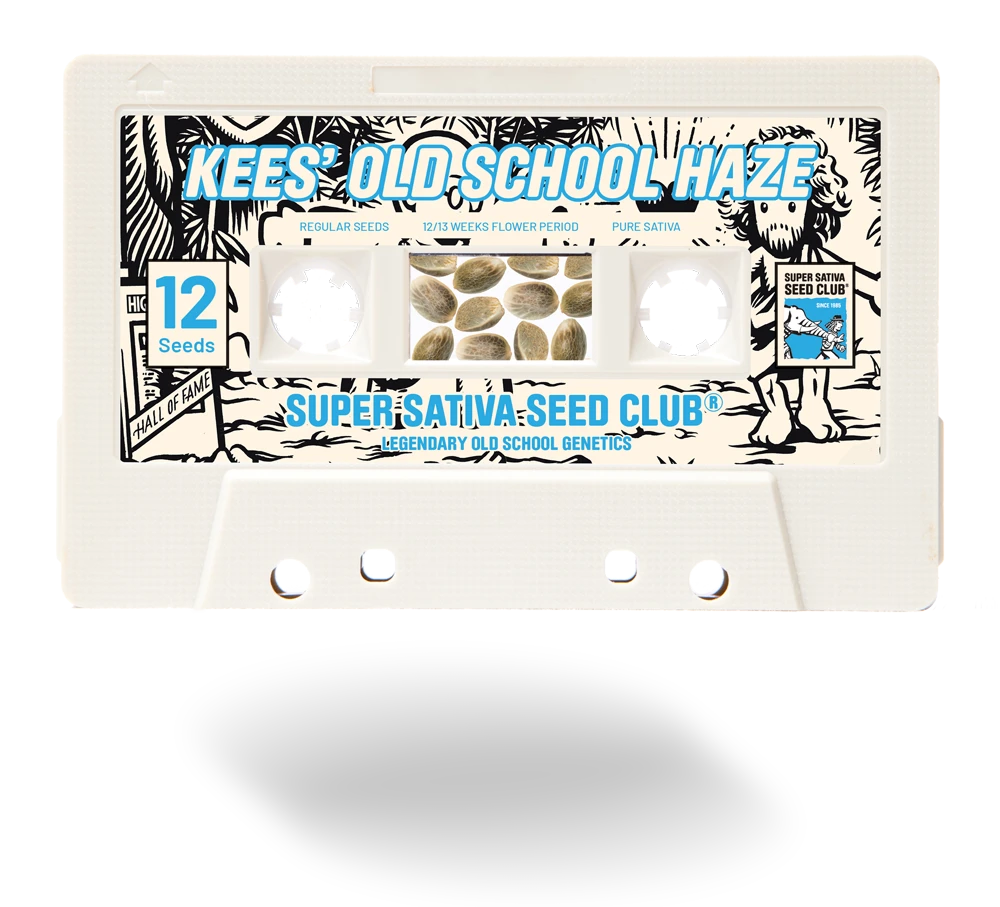 SSSC011201 - SUPER SATIVA SEED CLUB - KEES' OLD SCHOOL HAZE REG | 12 SEMILLAS