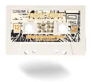 SSSC041201 - SUPER SATIVA SEED CLUB - FROSTY FRIDAY REG | 12 SEMILLAS