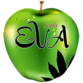 SEV4069 - EVA SEEDS - NEXUS FEM | 6 SEMILLAS