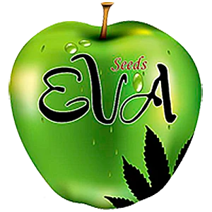 SEV4069 - EVA SEEDS - NEXUS FEM | 6 SEMILLAS