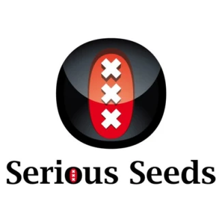 SSCH - CHRONIC SERIOUS SEED 10 REGULAR SEEDS